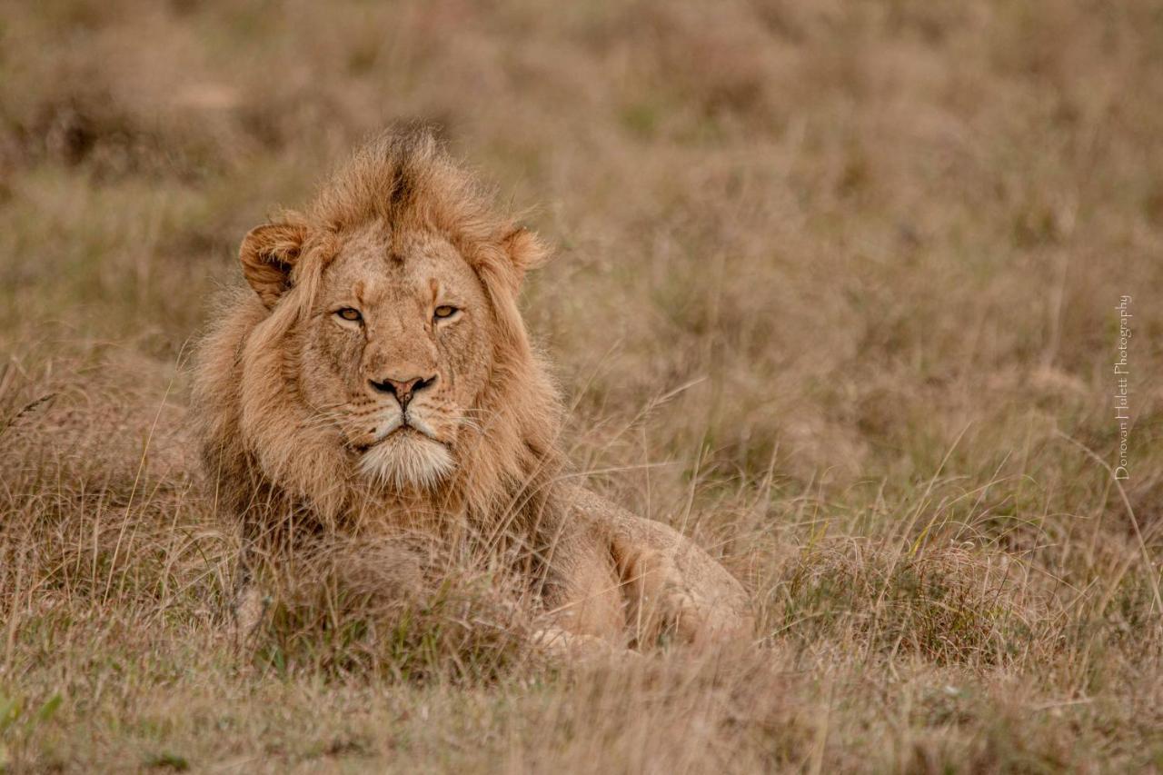 Woodbury Lodge - Amakhala Game Reserve Zewnętrze zdjęcie