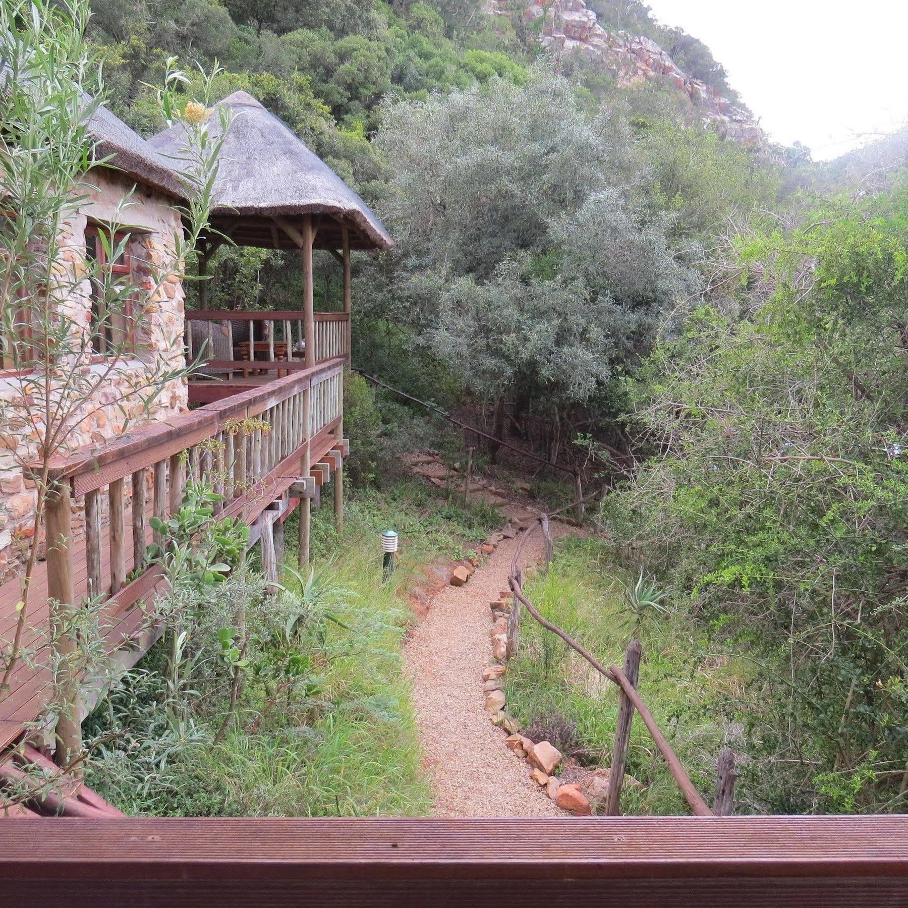 Woodbury Lodge - Amakhala Game Reserve Zewnętrze zdjęcie